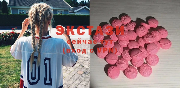 ПСИЛОЦИБИНОВЫЕ ГРИБЫ Вяземский