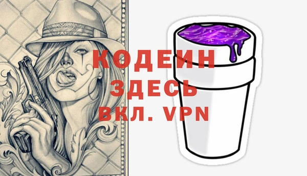ПСИЛОЦИБИНОВЫЕ ГРИБЫ Вяземский