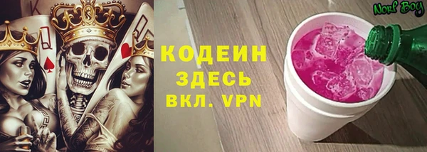 ПСИЛОЦИБИНОВЫЕ ГРИБЫ Вяземский