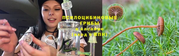 гидропоника Володарск