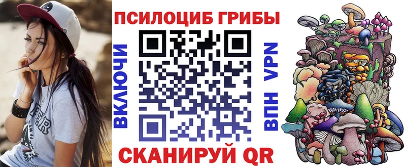 где купить наркотик  Ивантеевка  мориарти клад  Псилоцибиновые грибы GOLDEN TEACHER 